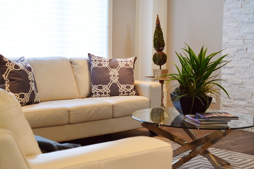 comfortable looking living room with a sofa, cushion and table with a potted indoor plant creating a calm living space