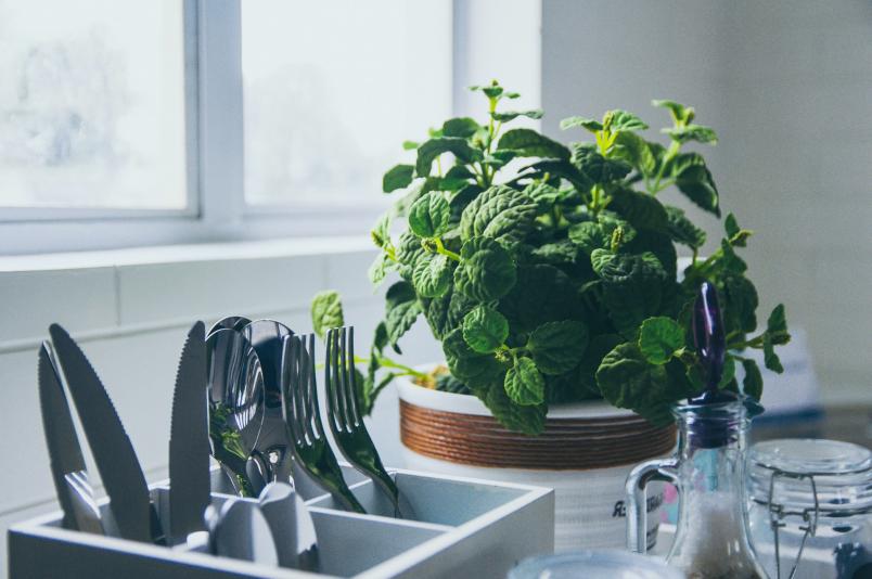 Potted green plant kept alongside forks and knives stand in the kitchen representing how to integrate natural elements in your kitchen